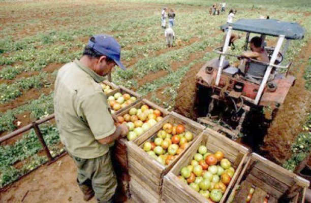 Avem o agricultură cu două viteze
